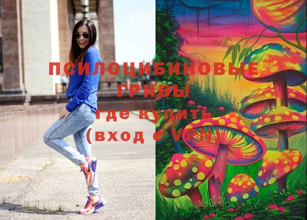 винт Абаза