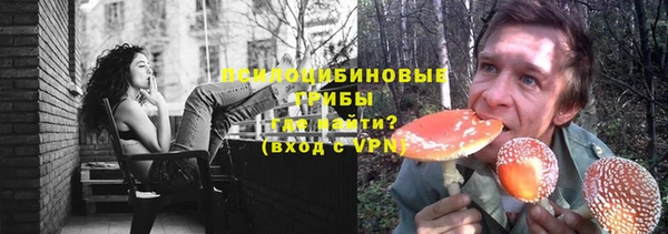 винт Абаза