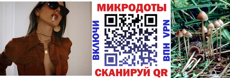 гидра ТОР Ладушкин Галлюциногенные грибы Cubensis купить наркотик